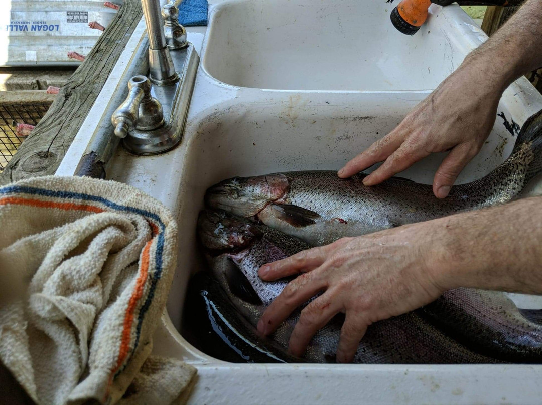 Mountain Springs Trout Park-Highlandville必去景点