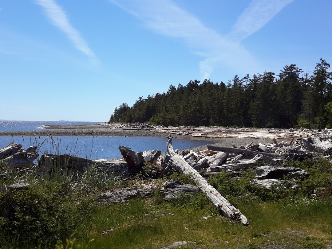 Rebecca Spit Marine Provincial Park景点图片