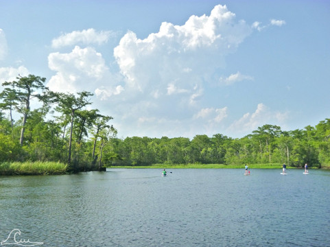 Carolina Waterman-美特尔海滩必去景点