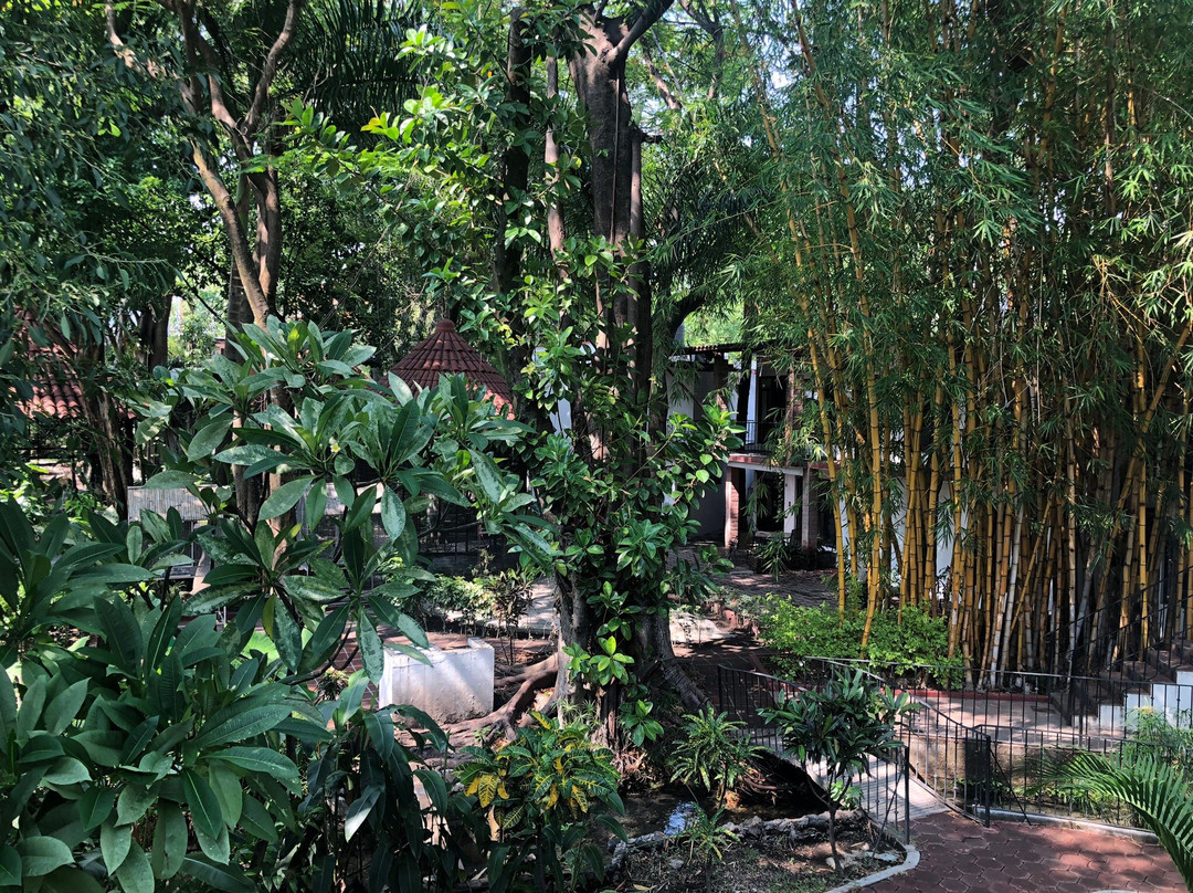 Bungalows Zoviq主图