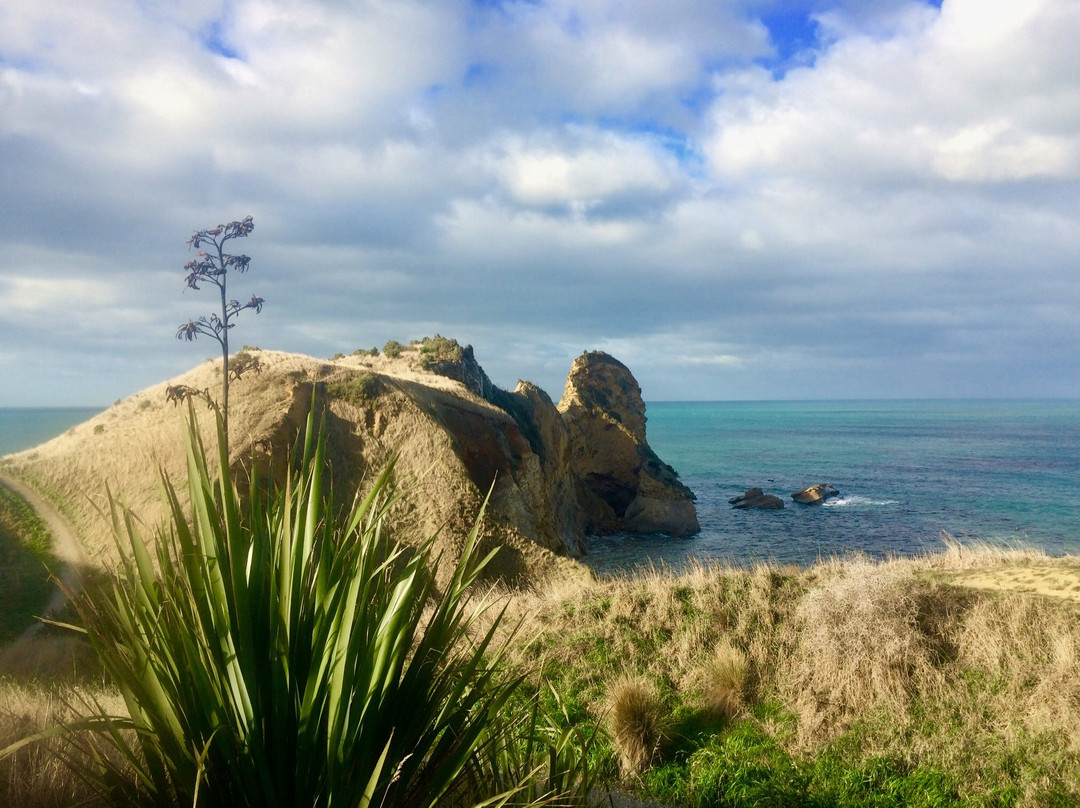 Huriawa Pa Walk景点图片