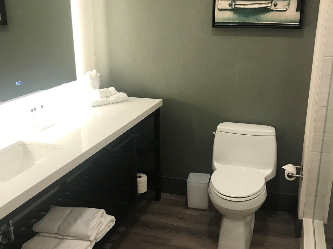 Cambria Hotel Arundel Mills - BWI Airport主图