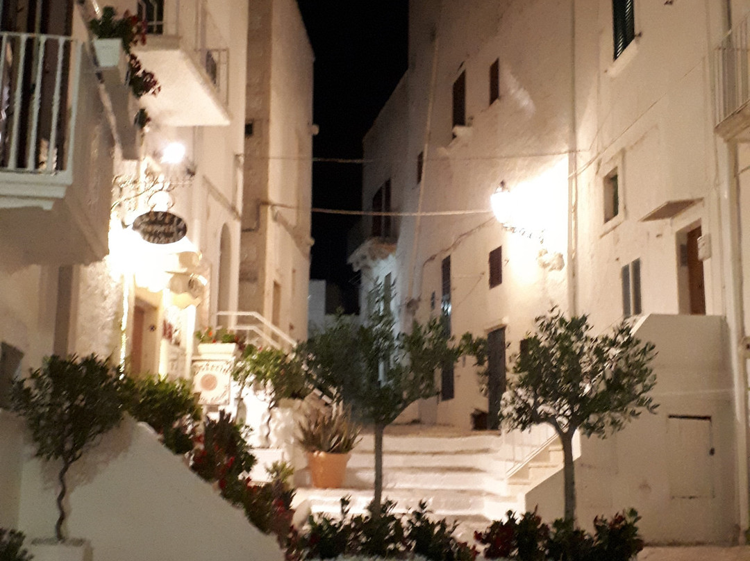 Kaliyoga Retreats-马丁纳弗兰卡必去景点