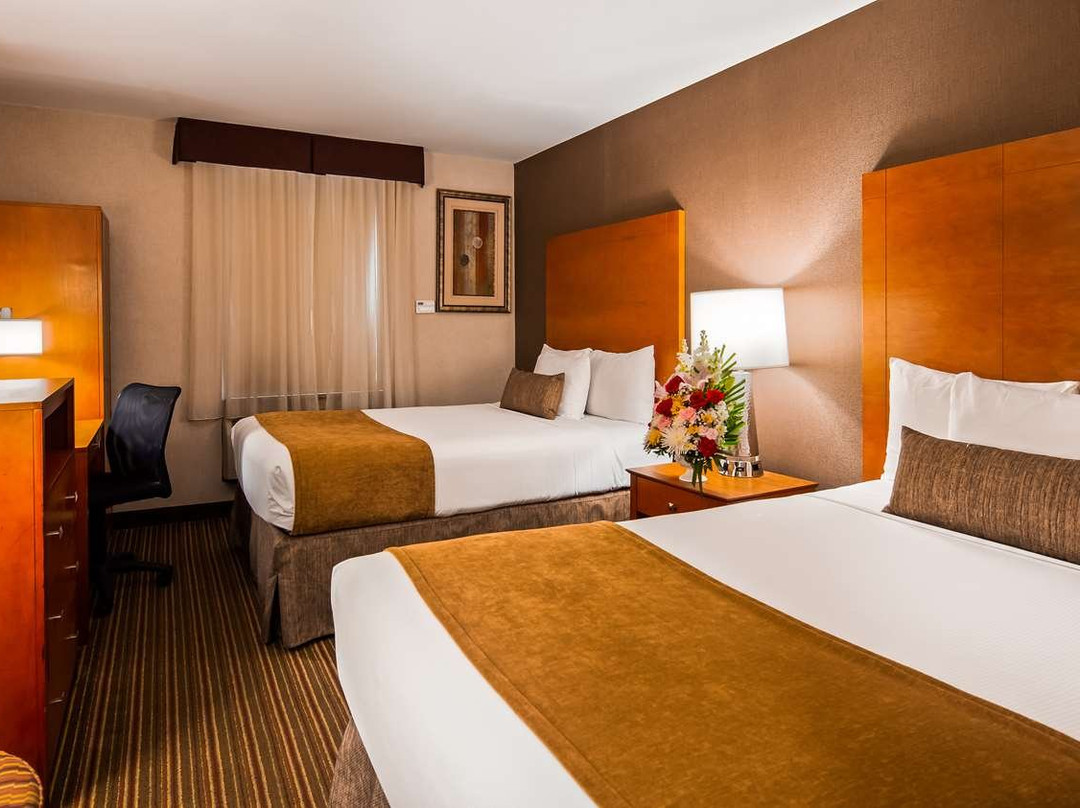 贝斯特韦斯特肯尼迪机场酒店主图