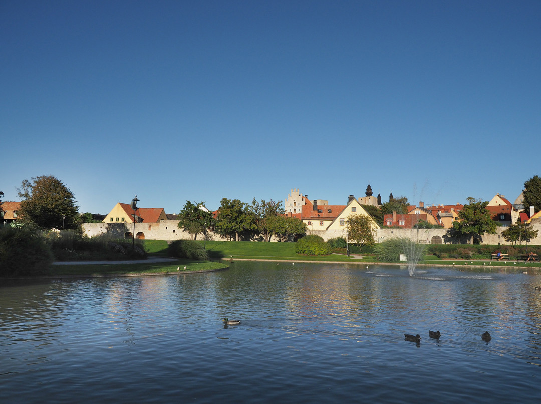 Almedalen Park景点图片