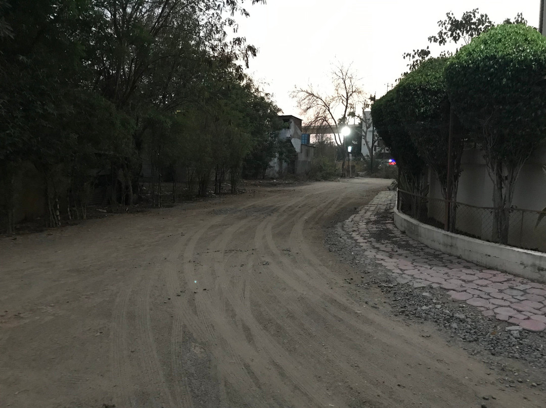 Treebo Trend Jog Centre主图