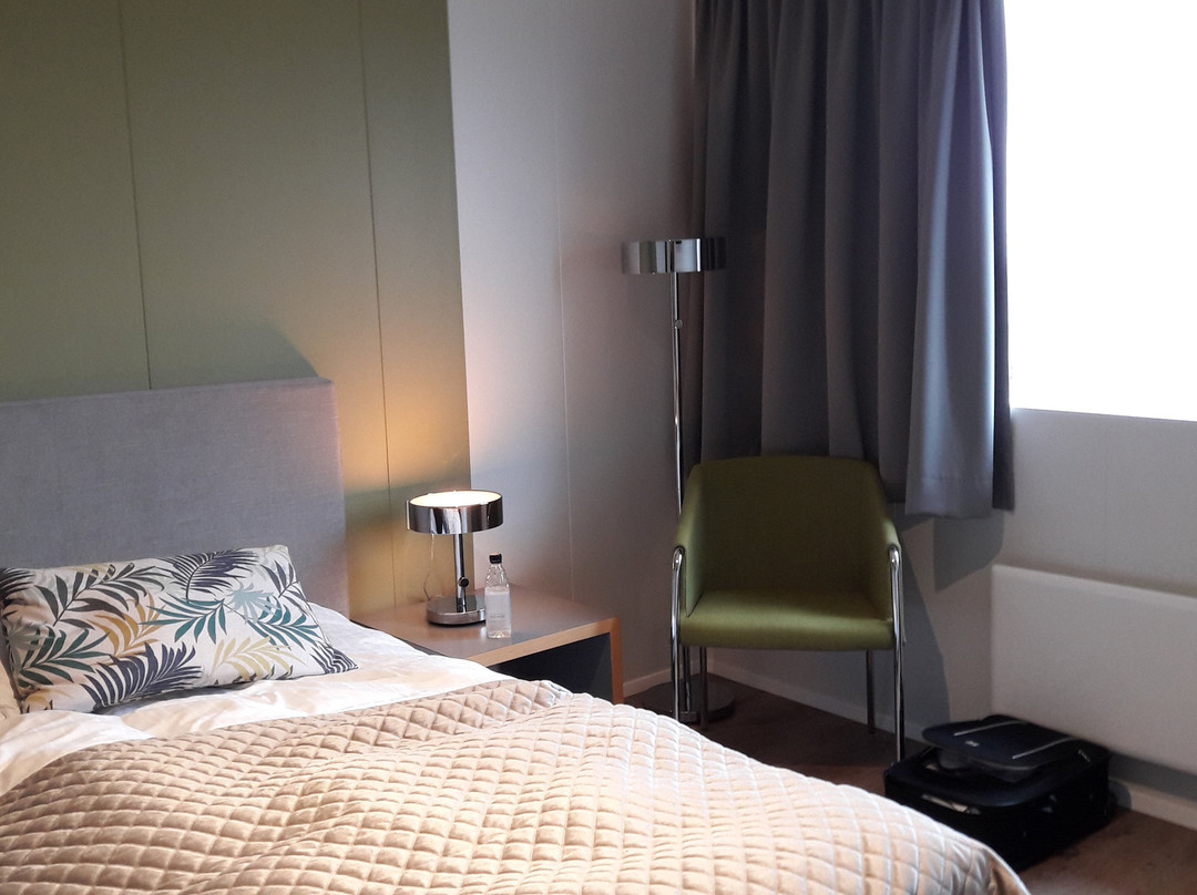 克劳斯图尔冰岛航空酒店主图