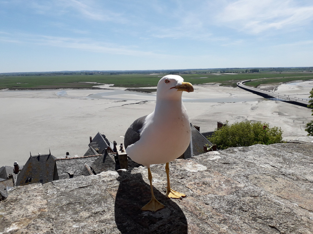 Maison de Bertrand du Guesclin-圣米歇尔山必去景点