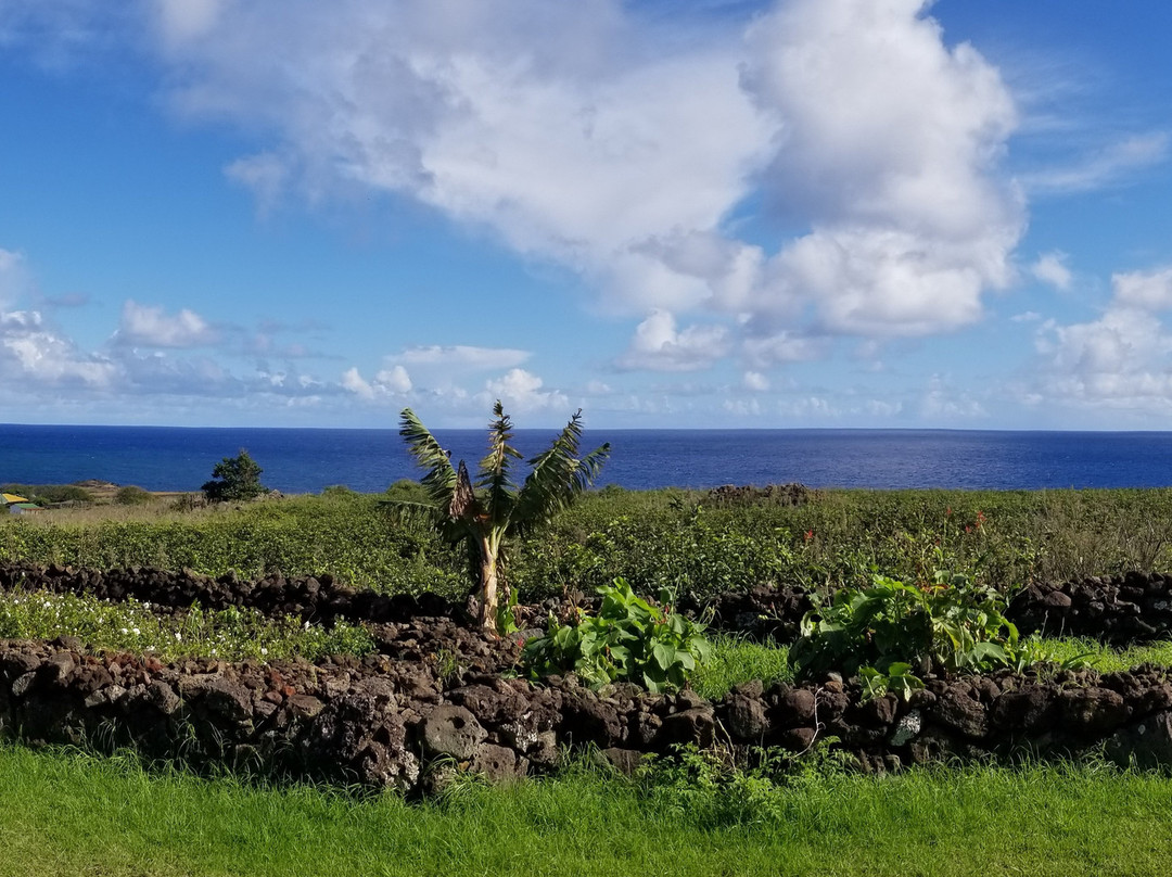 Altiplanico Rapa Nui主图