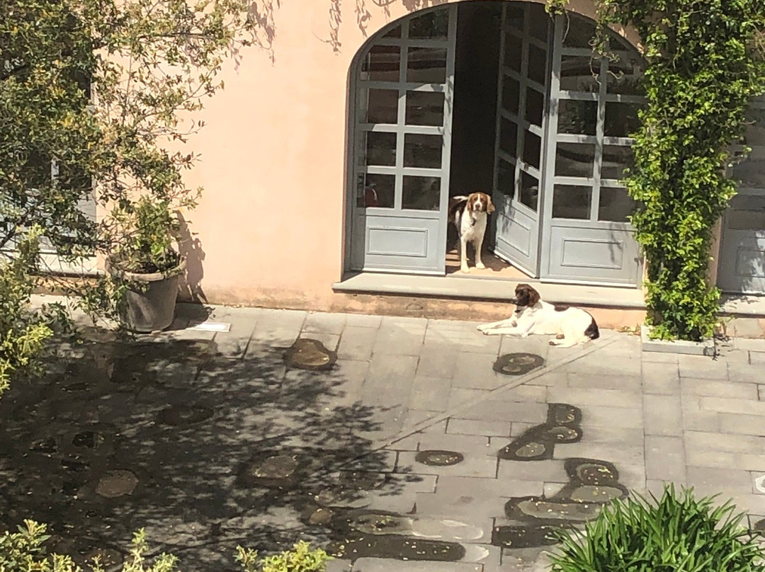 Villa Loggio主图
