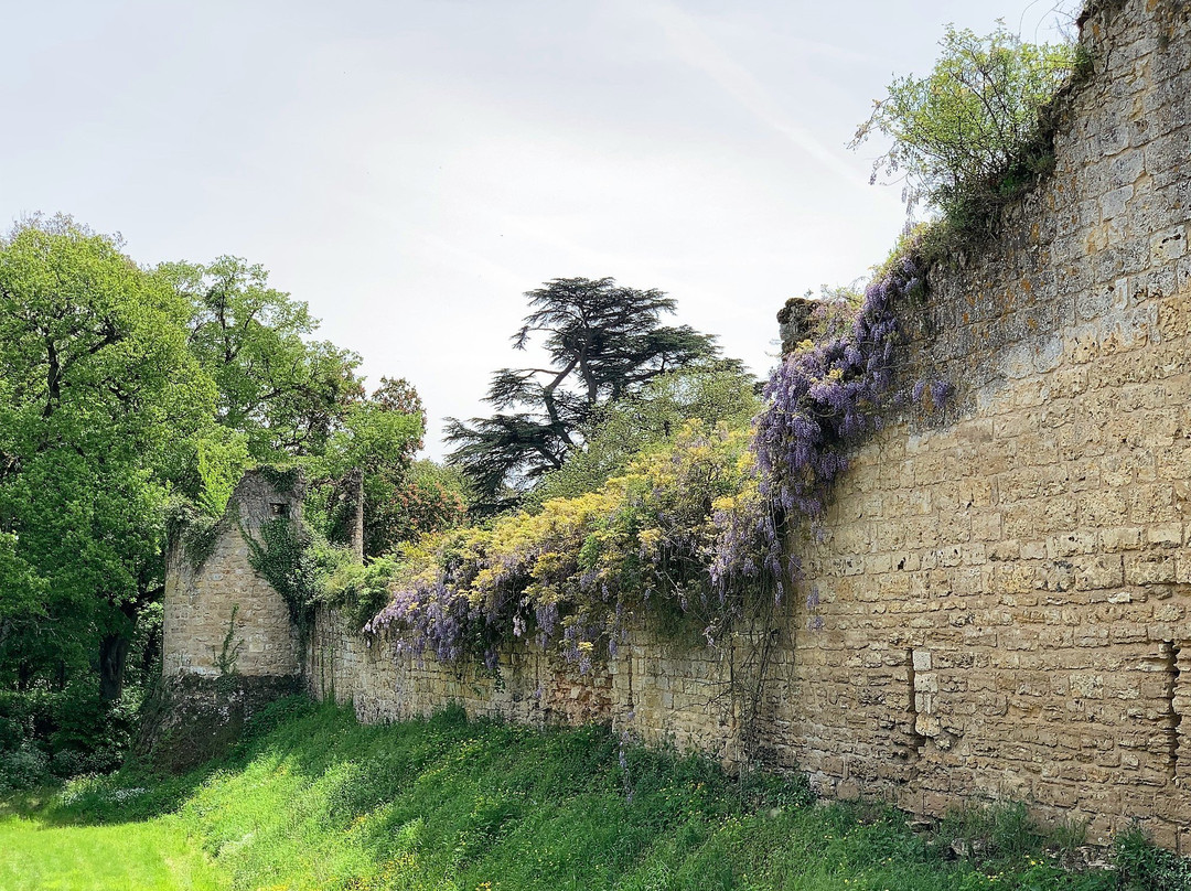 Château de Montreuil Bonnin景点图片