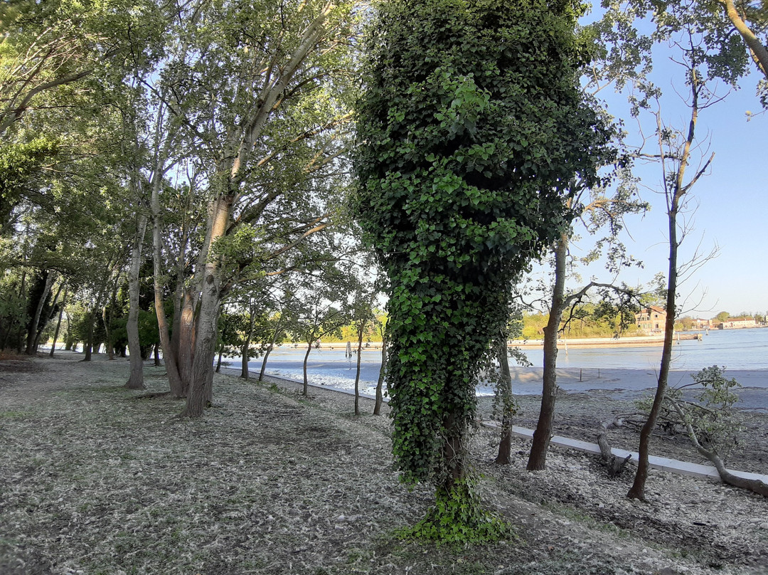 Parco della Certosa-威尼斯必去景点