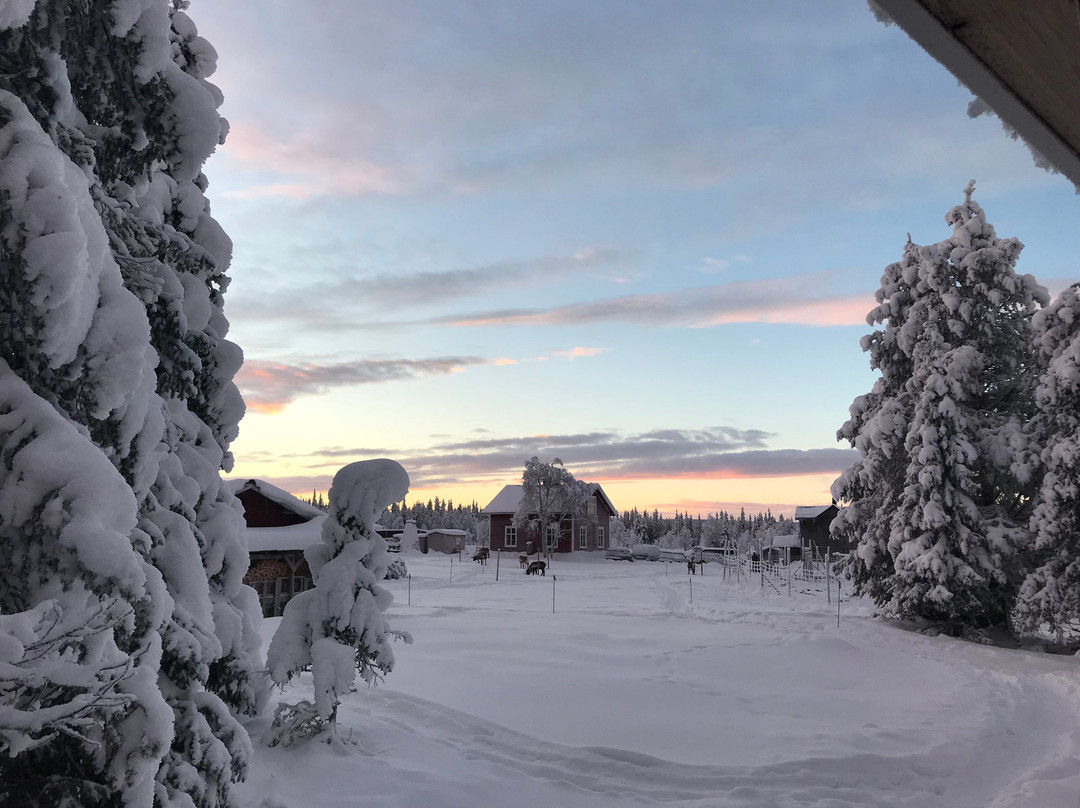 Wildnisdorf Solberget-Nattavaara必去景点