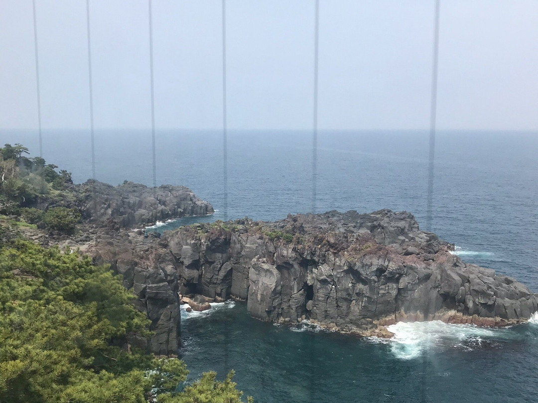 Jogasaki Suspension Bridge景点图片
