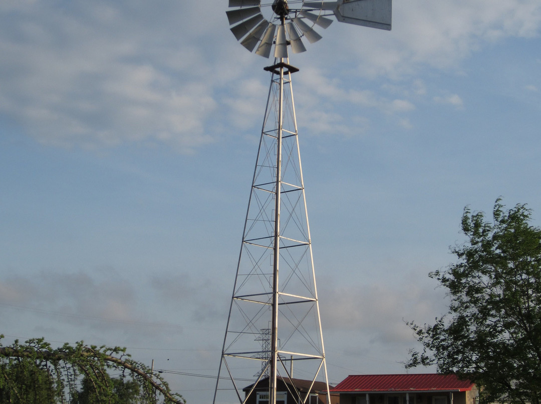 Bird-In-Hand Family Inn主图