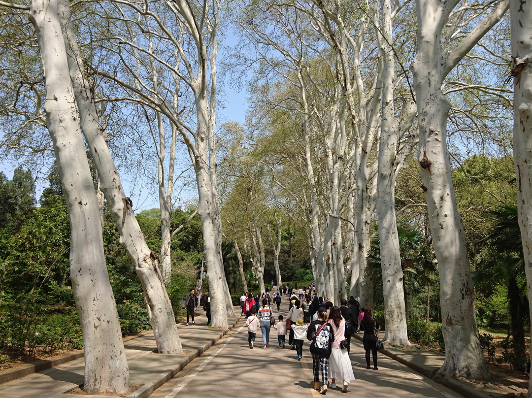 珞珈山-武汉市必去景点