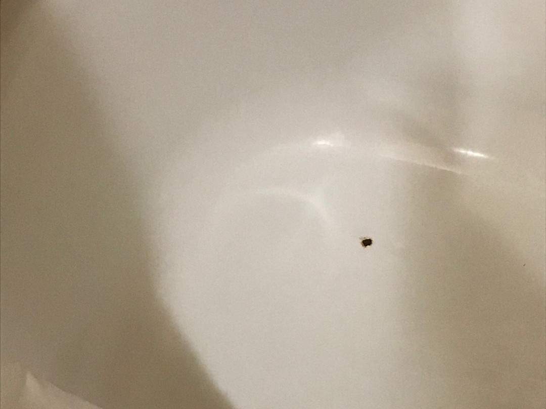 Hotel Pearland主图