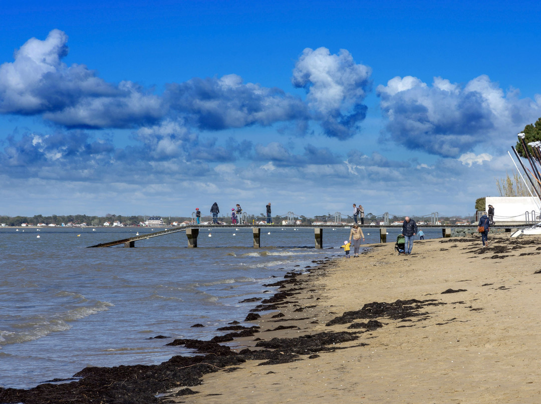 Plage de la Cepe景点图片