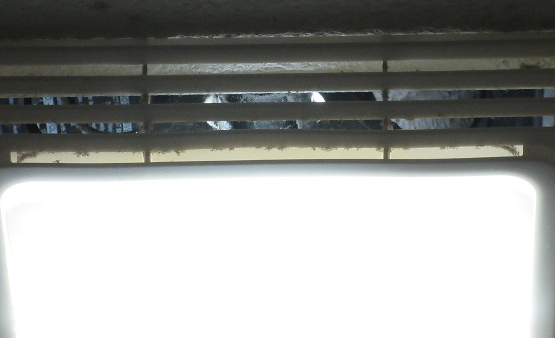 Americas Best Value Inn Green River主图