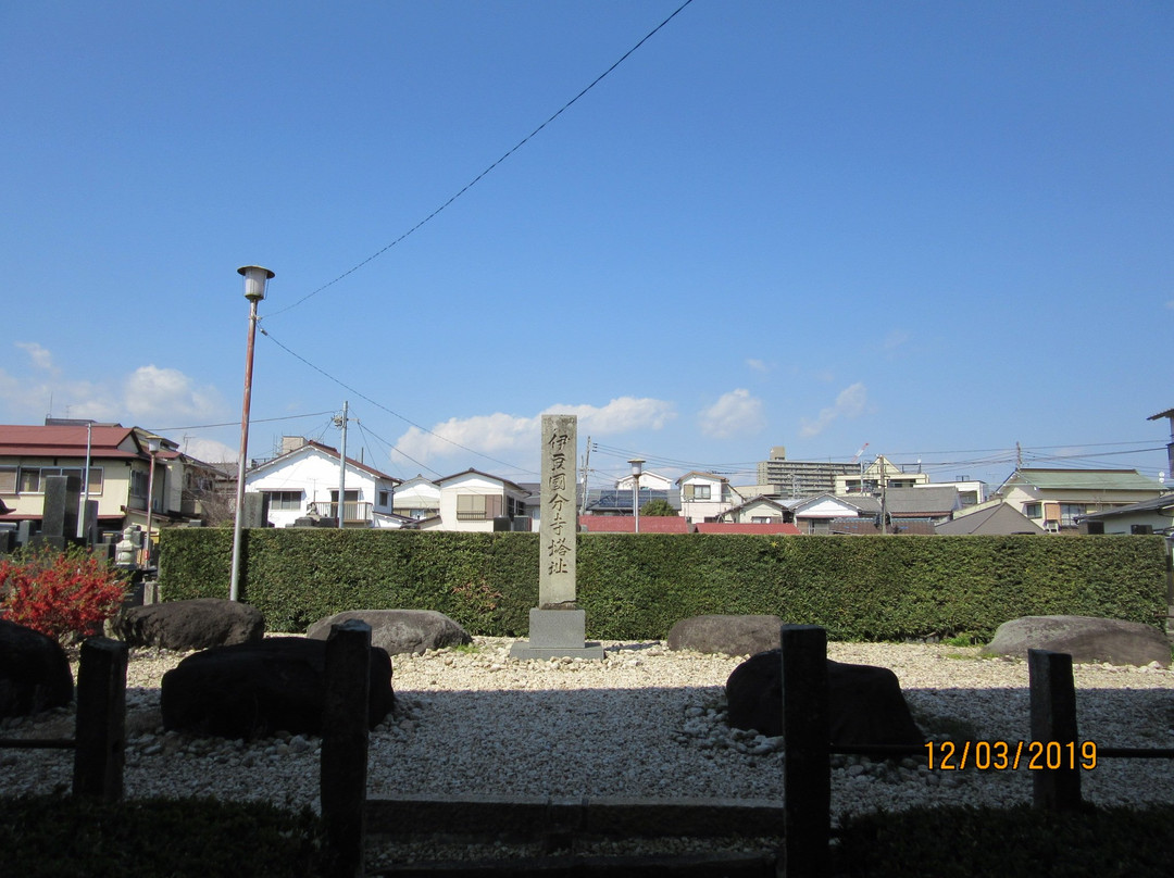 Izu Kokubun-ji Temple Tower Monument景点图片