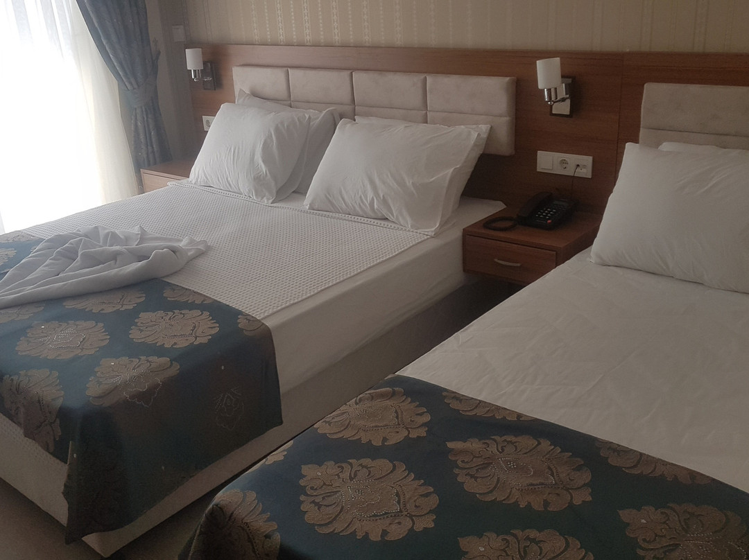 Olympic Hotel主图