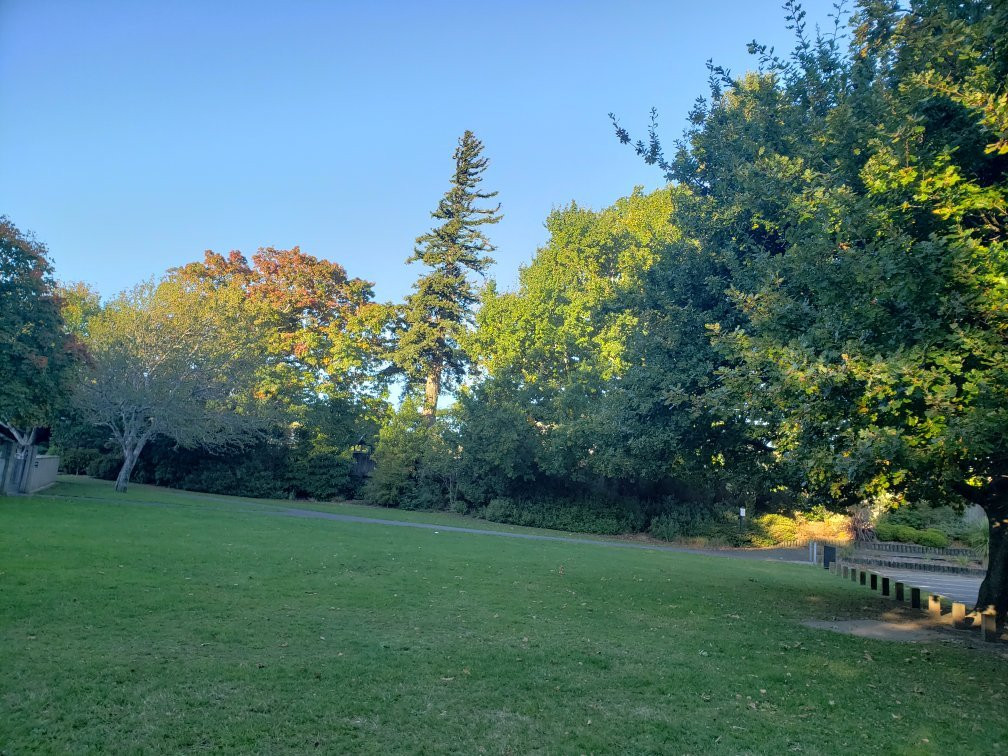 Wellingtons Kiwi Holiday Park
