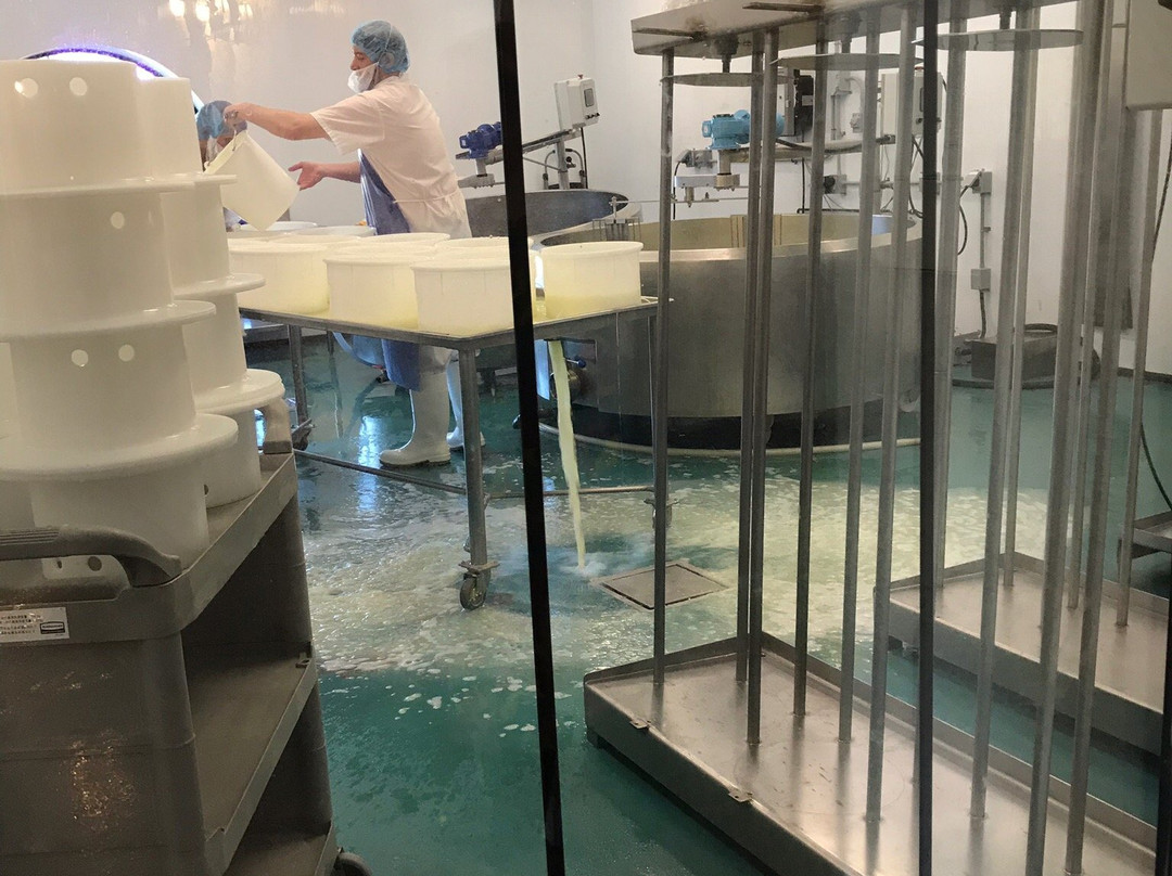 Fromagerie Kapuskoise - Artisan Cheese景点图片