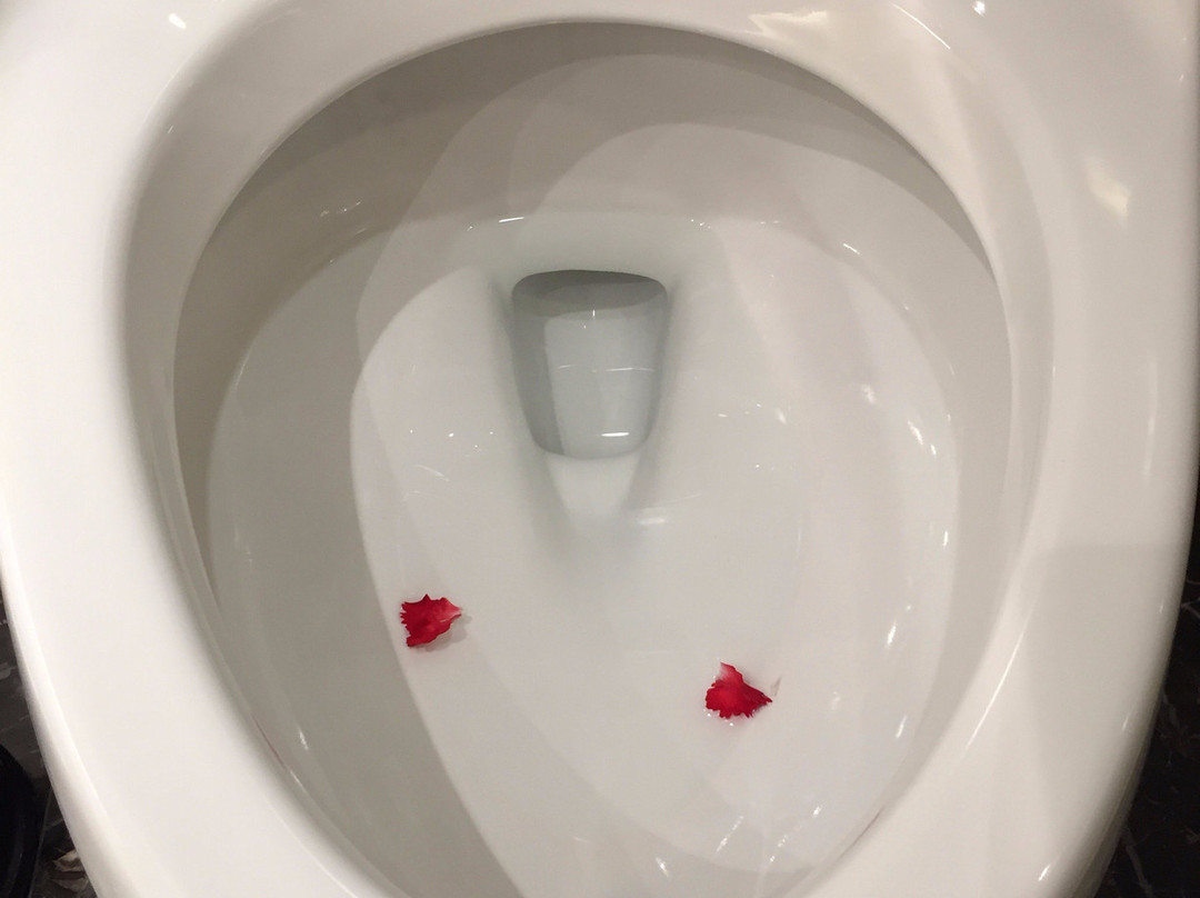 陶然居大酒店主图