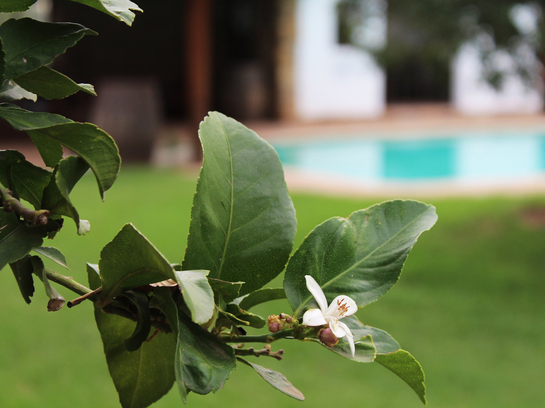 Rotterdam Estates主图