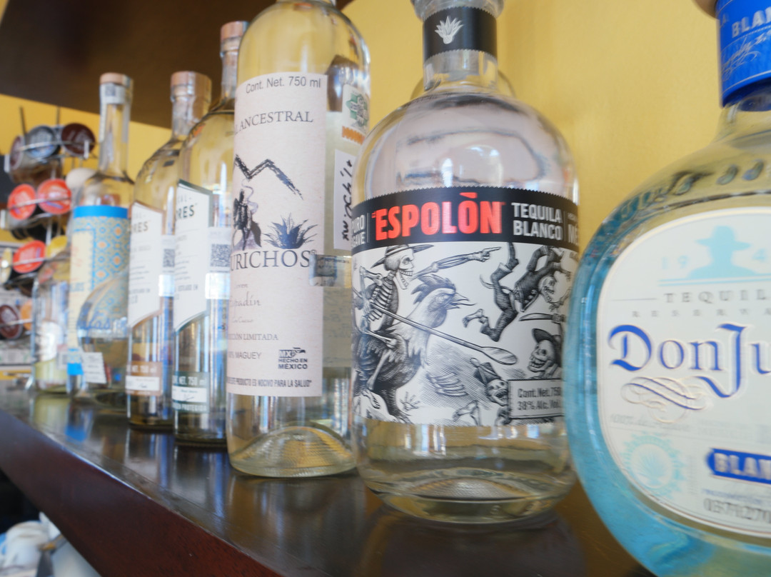 Mexican Flavors Tequila and Mezcal Tasting-梅里达必去景点