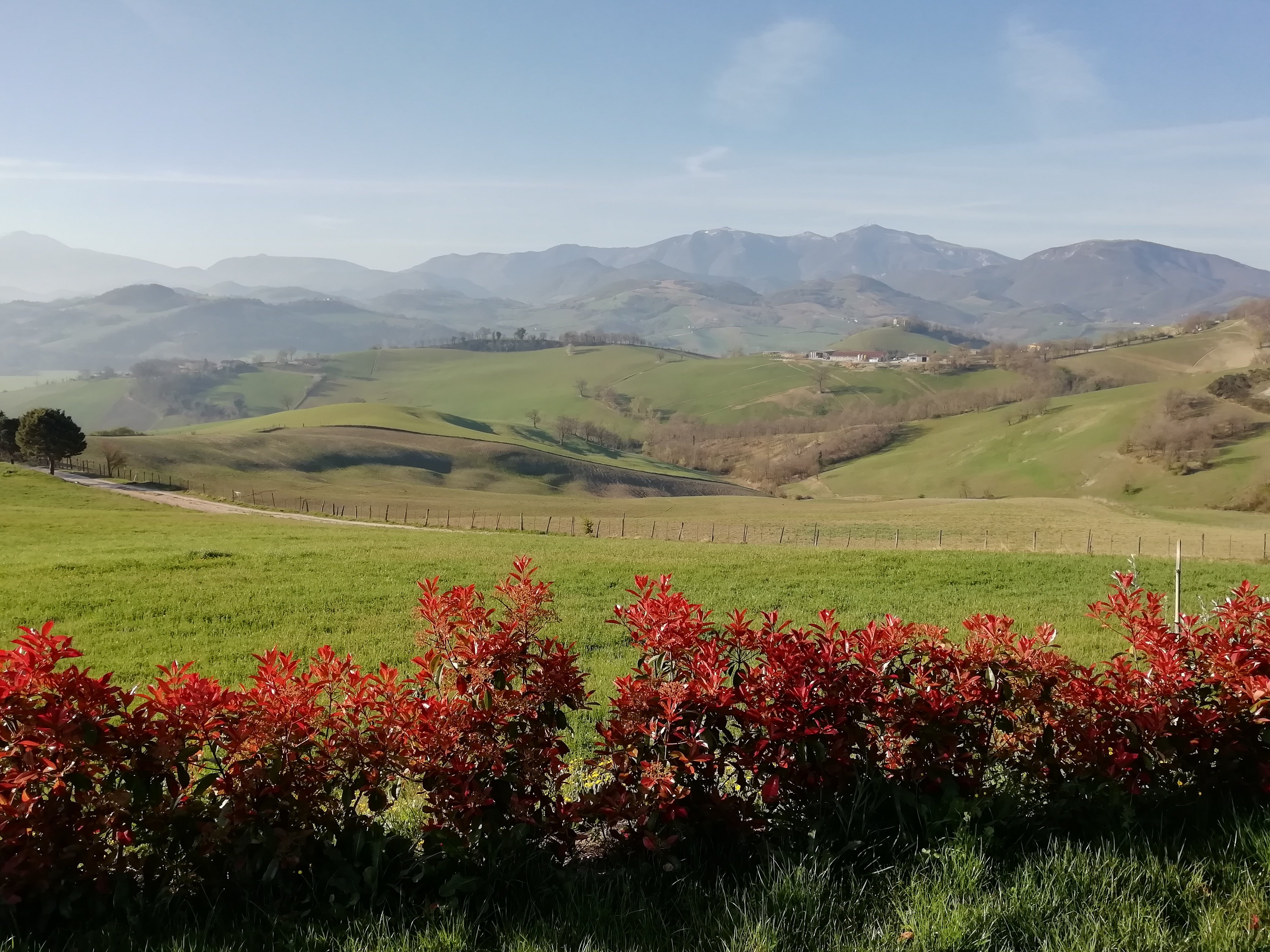 Agriturismo le Capannacce-官方