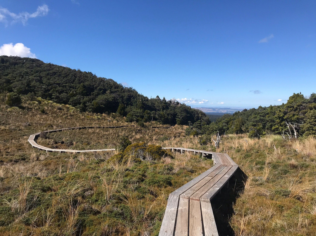 Waitonga Falls Track景点图片