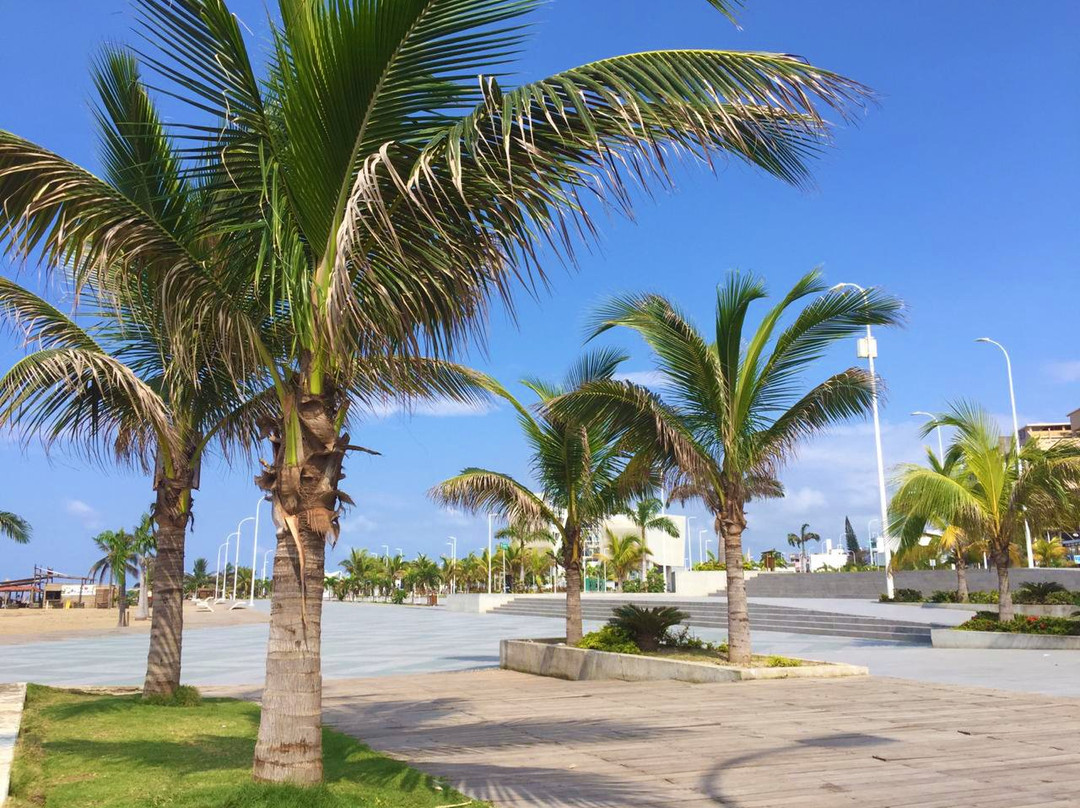 Playa de Las Palmas-埃斯梅拉达斯必去景点