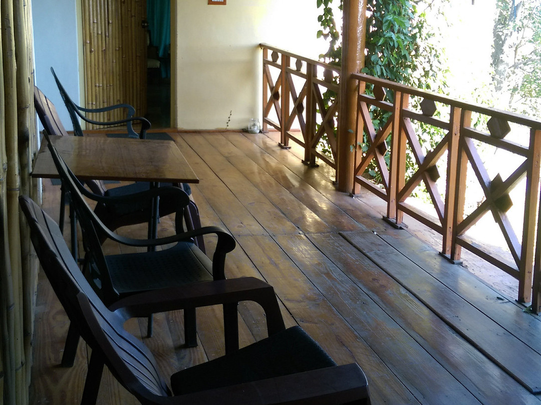 Seclude Palampur主图