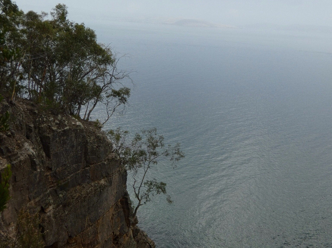 Alum Cliffs Track景点图片