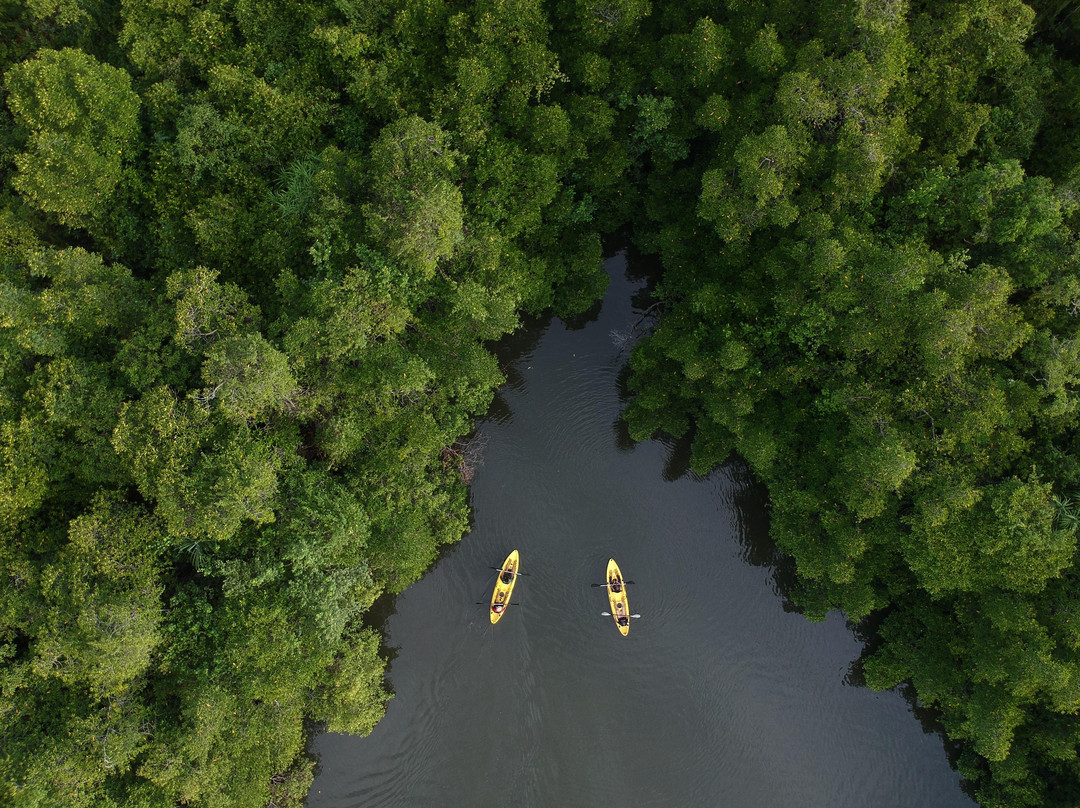 Serendib Adventures - Madu River景点图片