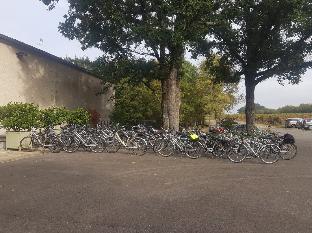 Vélo Loc 33-莱格卡弗尔雷必去景点