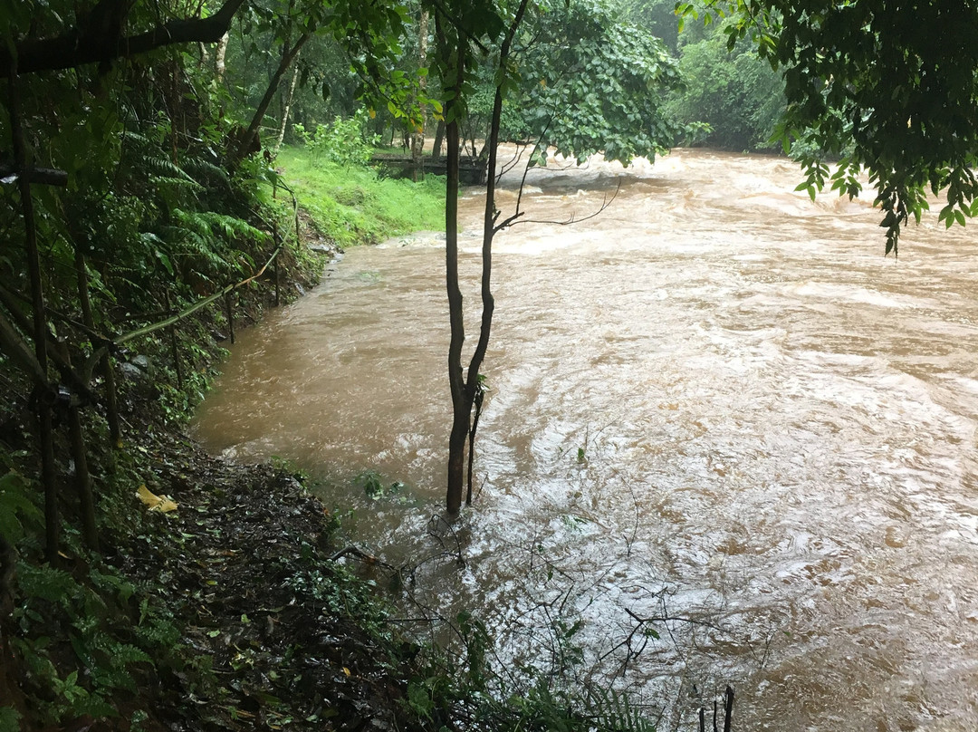 百细旅游景点-Tad E Tu Waterfall