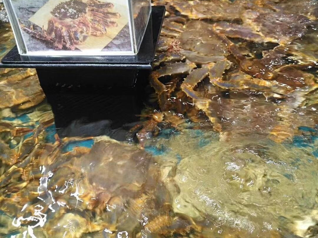 海鲜一条街-深圳市必去景点