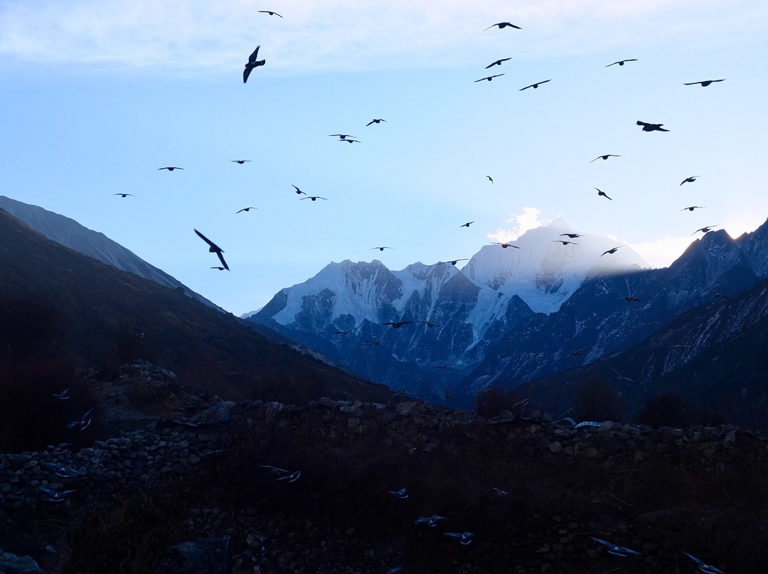 Snow Dragons Nepal Treks景点图片