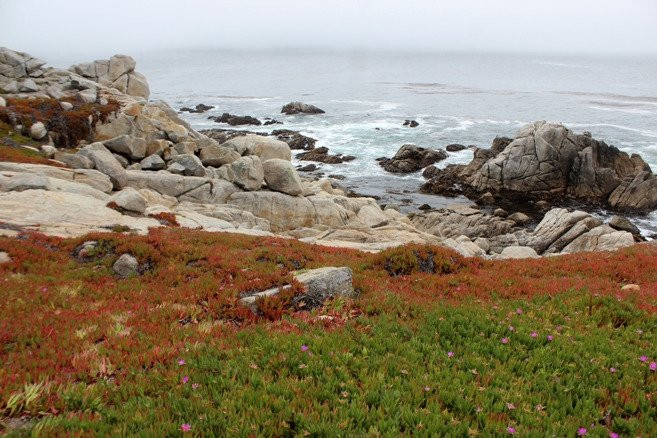 Pescadero Point-圆石滩必去景点