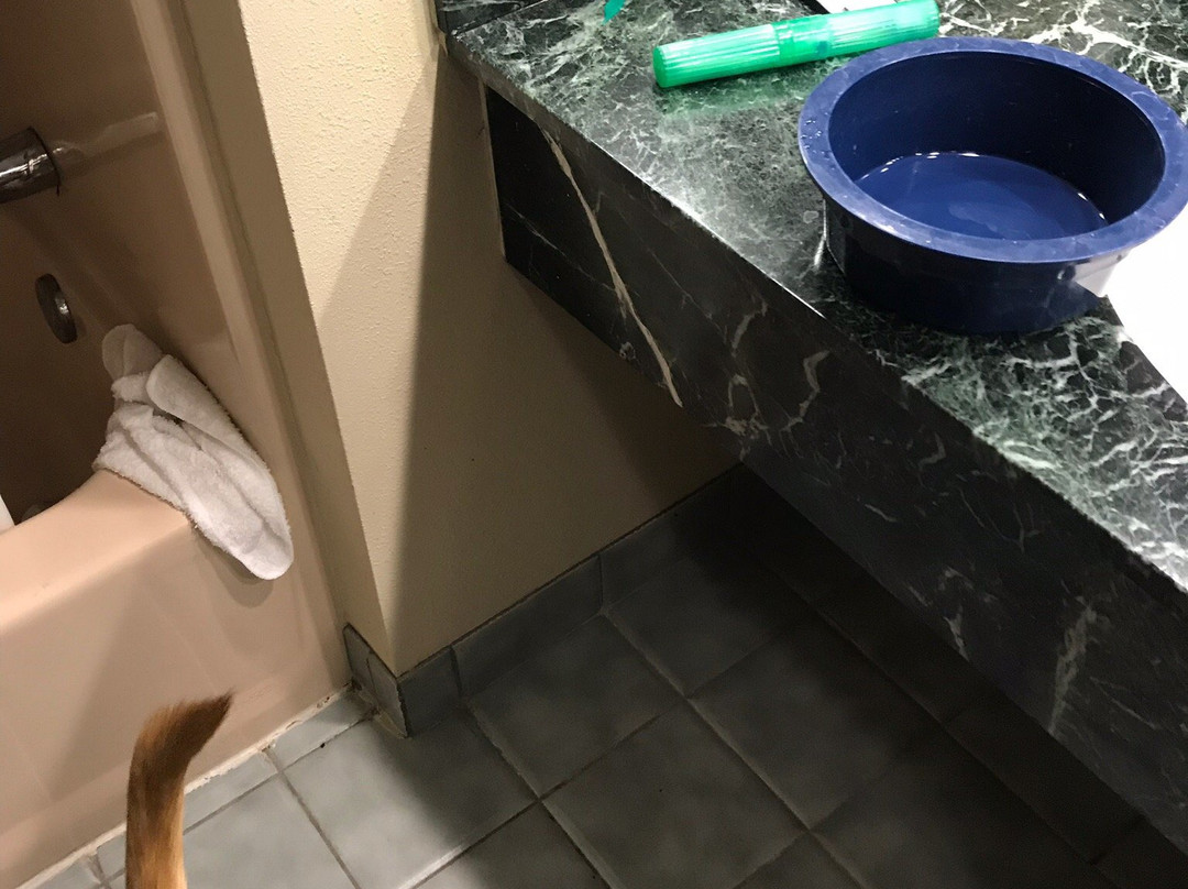 Quality Inn & Suites  Quakertown主图