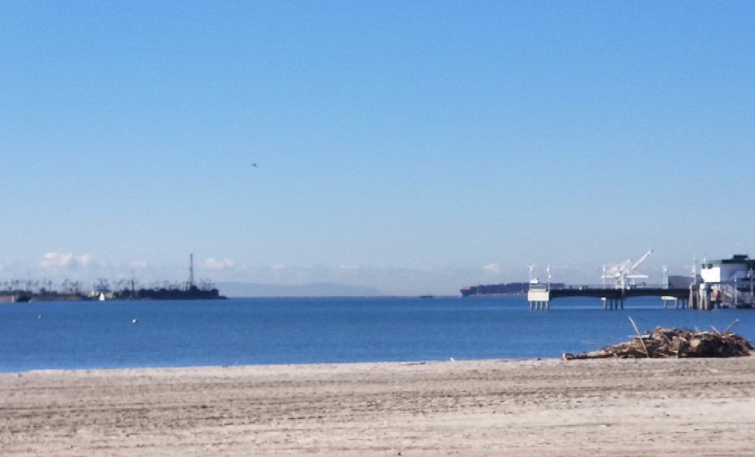 Belmont Shore-长滩必去景点