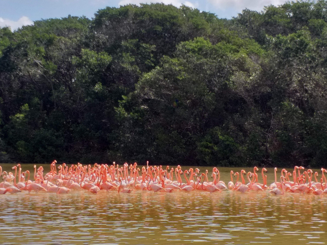 Merida Elite-梅里达必去景点