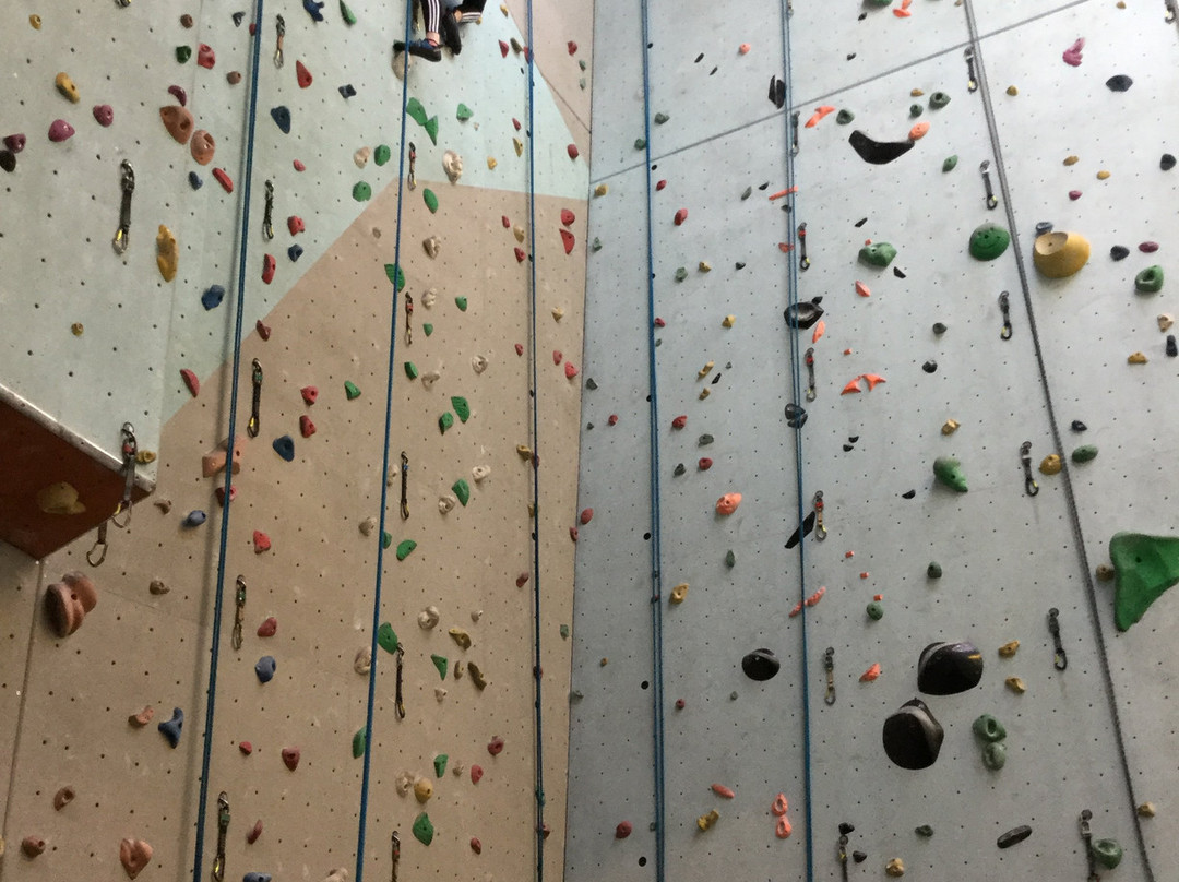 The Quay Climbing Centre-埃克塞特必去景点