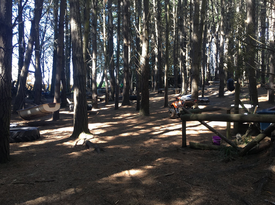 Waitarere Forest景点图片