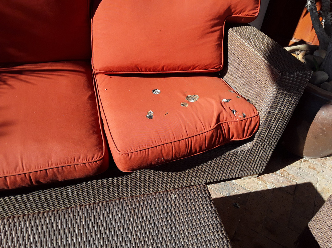 Marianne Wine Estate Guesthouse主图