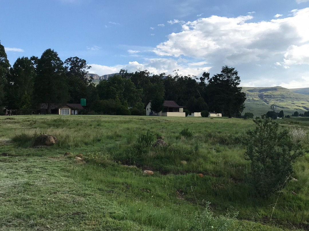 Kamberg Mountain Shadows主图