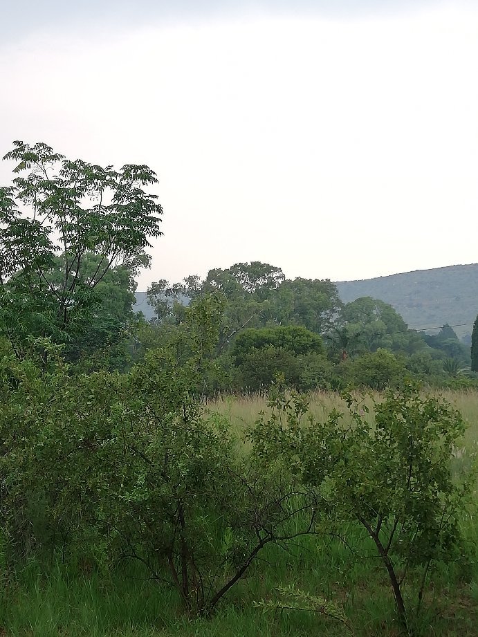 Meerkatplaats Guesthouse and B&B-官方