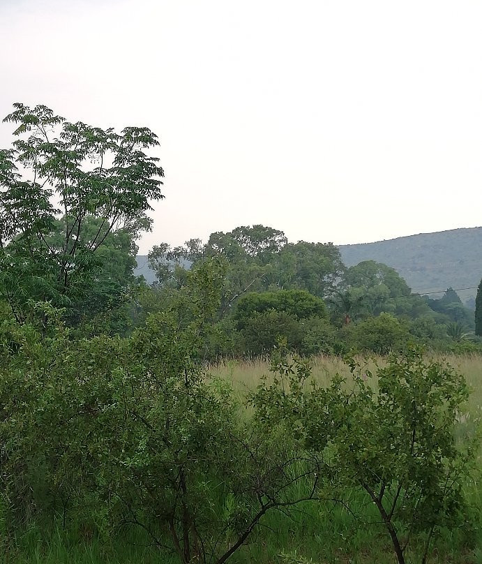 Meerkatplaats Guesthouse and B&B主图